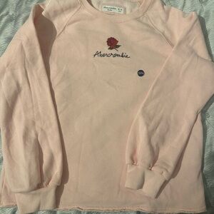 Abercrombie Pink Sweatshirt with Rose Embroidery NWOT Girls Size 13/14